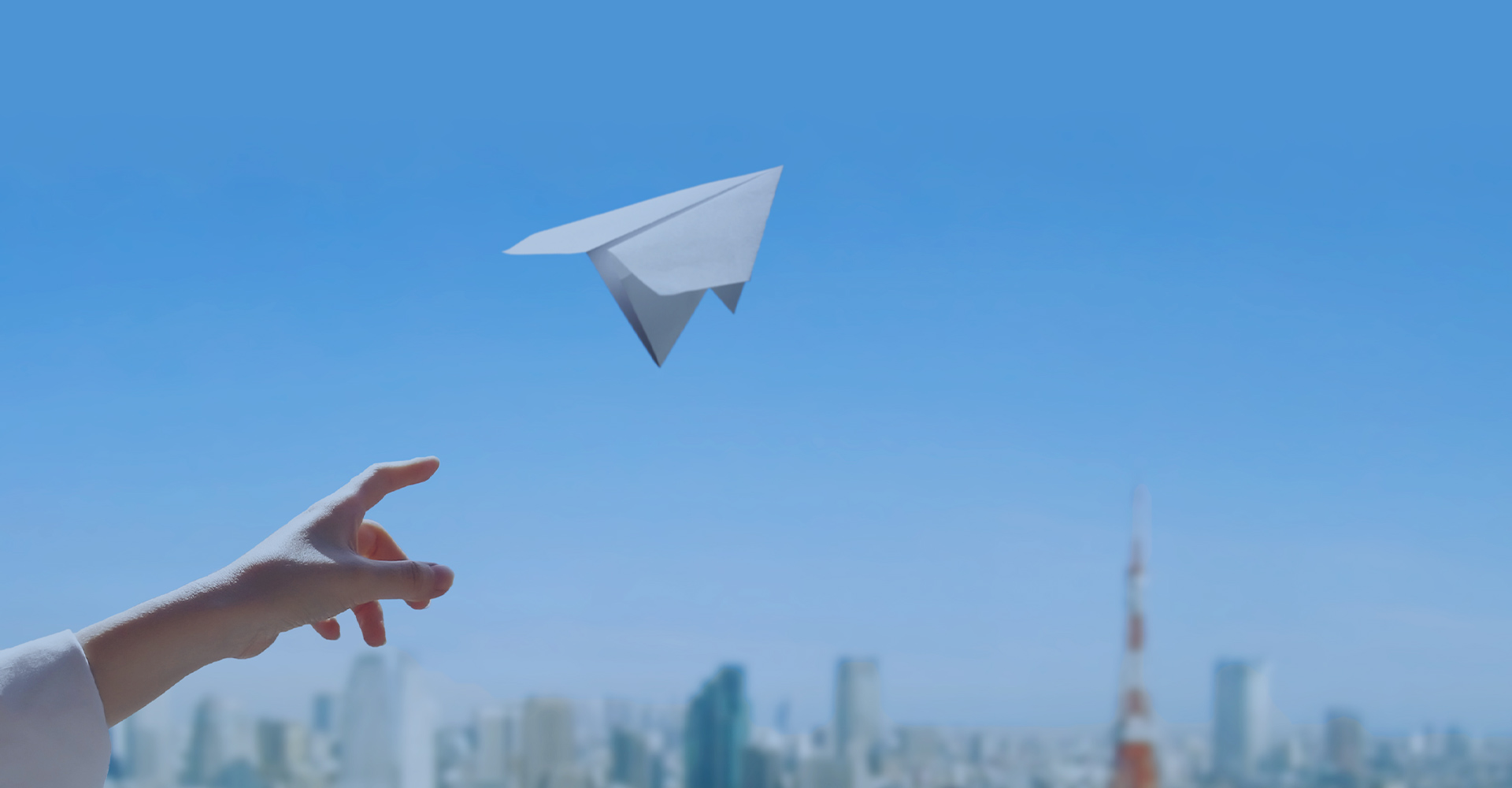 有限会社コーダイ