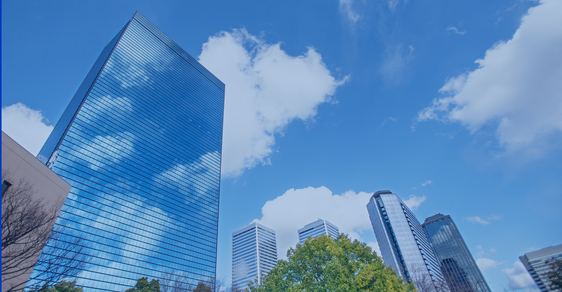 有限会社コーダイ